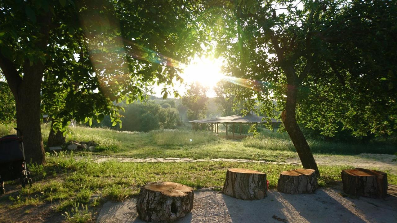 Szellosreti Vendeglak Balvanyos Eksteriør billede